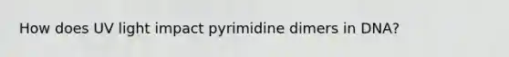 How does UV light impact pyrimidine dimers in DNA?