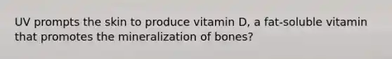 UV prompts the skin to produce vitamin D, a fat-soluble vitamin that promotes the mineralization of bones?