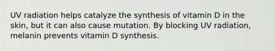 UV radiation helps catalyze the synthesis of vitamin D in the skin, but it can also cause mutation. By blocking UV radiation, melanin prevents vitamin D synthesis.