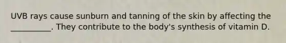 UVB rays cause sunburn and tanning of the skin by affecting the __________. They contribute to the body's synthesis of vitamin D.