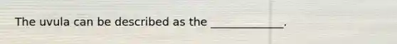 The uvula can be described as the _____________.