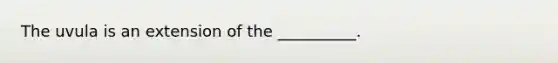 The uvula is an extension of the __________.