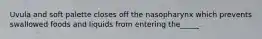 Uvula and soft palette closes off the nasopharynx which prevents swallowed foods and liquids from entering the_____.