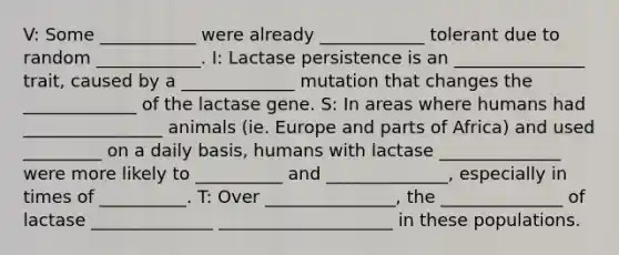 V: Some ___________ were already ____________ tolerant due to random ____________. I: Lactase persistence is an _______________ trait, caused by a _____________ mutation that changes the _____________ of the lactase gene. S: In areas where humans had ________________ animals (ie. Europe and parts of Africa) and used _________ on a daily basis, humans with lactase ______________ were more likely to __________ and ______________, especially in times of __________. T: Over _______________, the ______________ of lactase ______________ ____________________ in these populations.