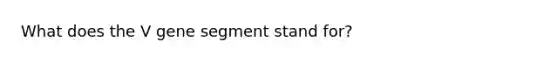 What does the V gene segment stand for?