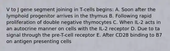 V to J gene segment joining in T-cells begins: A. Soon after the lymphoid progenitor arrives in the thymus B. Following rapid proliferation of double negative thymocytes C. When IL-2 acts in an autocrine manner on cells with the IL-2 receptor D. Due to ta signal through the pre-T-cell receptor E. After CD28 binding to B7 on antigen presenting cells