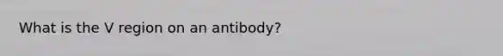 What is the V region on an antibody?