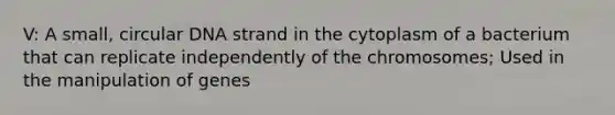 V: A small, circular DNA strand in the cytoplasm of a bacterium that can replicate independently of the chromosomes; Used in the manipulation of genes