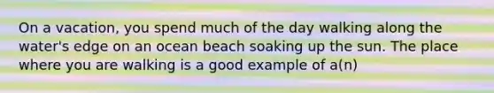 On a vacation, you spend much of the day walking along the water's edge on an ocean beach soaking up the sun. The place where you are walking is a good example of a(n)