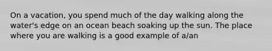 On a vacation, you spend much of the day walking along the water's edge on an ocean beach soaking up the sun. The place where you are walking is a good example of a/an