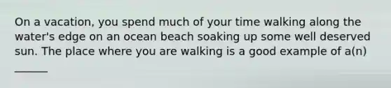 On a vacation, you spend much of your time walking along the water's edge on an ocean beach soaking up some well deserved sun. The place where you are walking is a good example of a(n) ______