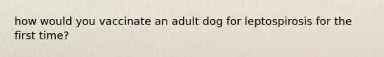 how would you vaccinate an adult dog for leptospirosis for the first time?