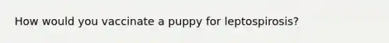 How would you vaccinate a puppy for leptospirosis?