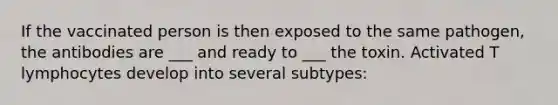 If the vaccinated person is then exposed to the same pathogen, the antibodies are ___ and ready to ___ the toxin. Activated T lymphocytes develop into several subtypes: