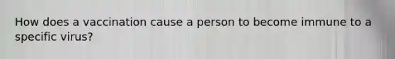 How does a vaccination cause a person to become immune to a specific virus?
