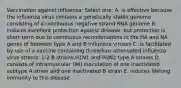 Vaccination against influenza: Select one: A. is effective because the influenza virus contains a genetically stable genome consisting of a continuous negative strand RNA genome B. induces excellent protection against disease, but protection is short-term due to continuous recombinations in the HA and NA genes of between type A and B influenza viruses C. is facilitated by use of a vaccine containing three/four attenuated influenza virus strains: 1-2 B strains,H1N1 and H3N2 type A strains D. consists of intramuscular (IM) inoculation of one inactivated subtype A strain and one inactivated B strain E. induces lifelong immunity to this disease