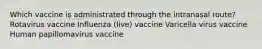 Which vaccine is administrated through the intranasal route? Rotavirus vaccine Influenza (live) vaccine Varicella virus vaccine Human papillomavirus vaccine