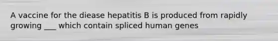 A vaccine for the diease hepatitis B is produced from rapidly growing ___ which contain spliced human genes