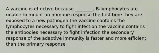 A vaccine is effective because ________. B-lymphocytes are unable to mount an immune response the first time they are exposed to a new pathogen the vaccine contains the lymphocytes necessary to fight infection the vaccine contains the antibodies necessary to fight infection the secondary response of the adaptive immunity is faster and more efficient than the primary response