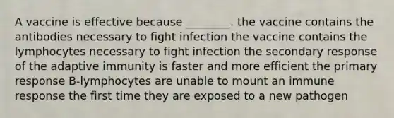 A vaccine is effective because ________. the vaccine contains the antibodies necessary to fight infection the vaccine contains the lymphocytes necessary to fight infection the secondary response of the adaptive immunity is faster and more efficient the primary response B-lymphocytes are unable to mount an immune response the first time they are exposed to a new pathogen