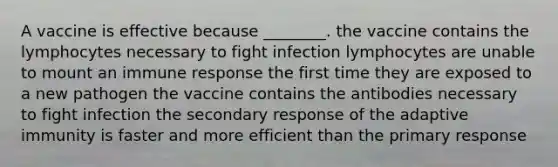 A vaccine is effective because ________. the vaccine contains the lymphocytes necessary to fight infection lymphocytes are unable to mount an immune response the first time they are exposed to a new pathogen the vaccine contains the antibodies necessary to fight infection the secondary response of the adaptive immunity is faster and more efficient than the primary response