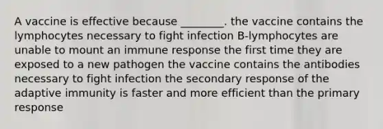 A vaccine is effective because ________. the vaccine contains the lymphocytes necessary to fight infection B-lymphocytes are unable to mount an immune response the first time they are exposed to a new pathogen the vaccine contains the antibodies necessary to fight infection the secondary response of the adaptive immunity is faster and more efficient than the primary response