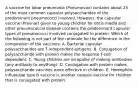 A vaccine for lobar pneumonia (Pneumovax) contains about 25 of the most common capsular polysaccharides of the predominant pneumococci involved. However, the capsular vaccine (Prevnar) given to young children for otitis media and other pneumococcal disease contains the predominant capsular types of pneumococci involved conjugated to protein. Which of the following is not part of the rationale for the difference in the composition of the vaccines. A. Bacterial capsular polysaccharides are T-independent antigens. B. Conjugation of polysaccharide with protein makes the response T-cell dependent. C. Young children are incapable of making antibodies (any antibody to anything). D. Conjugation with protein makes polysaccharide vaccines more effective in children. E. Hemophilis influenzae type b vaccine is another capsule vaccine for children that is conjugated with protein.