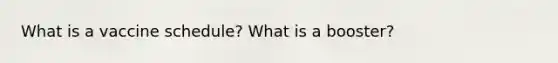 What is a vaccine schedule? What is a booster?