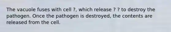 The vacuole fuses with cell ?, which release ? ? to destroy the pathogen. Once the pathogen is destroyed, the contents are released from the cell.