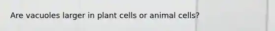 Are vacuoles larger in plant cells or animal cells?