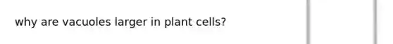 why are vacuoles larger in plant cells?