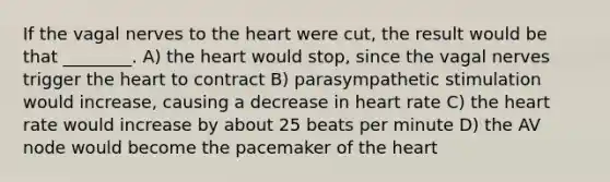 If the vagal nerves to the heart were cut, the result would be that ________. A) the heart would stop, since the vagal nerves trigger the heart to contract B) parasympathetic stimulation would increase, causing a decrease in heart rate C) the heart rate would increase by about 25 beats per minute D) the AV node would become the pacemaker of the heart