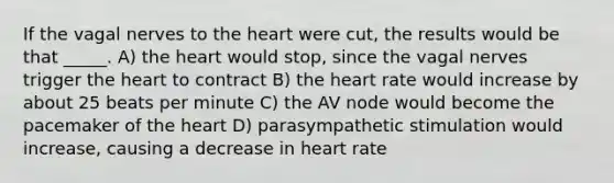 If the vagal nerves to the heart were cut, the results would be that _____. A) the heart would stop, since the vagal nerves trigger the heart to contract B) the heart rate would increase by about 25 beats per minute C) the AV node would become the pacemaker of the heart D) parasympathetic stimulation would increase, causing a decrease in heart rate