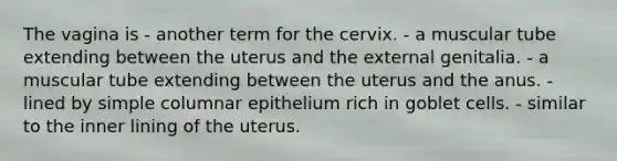 The vagina is - another term for the cervix. - a muscular tube extending between the uterus and the external genitalia. - a muscular tube extending between the uterus and the anus. - lined by simple columnar epithelium rich in goblet cells. - similar to the inner lining of the uterus.