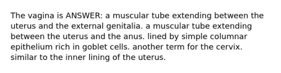 The vagina is ANSWER: a muscular tube extending between the uterus and the external genitalia. a muscular tube extending between the uterus and the anus. lined by simple columnar epithelium rich in goblet cells. another term for the cervix. similar to the inner lining of the uterus.