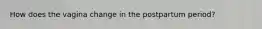 How does the vagina change in the postpartum period?