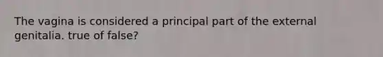 The vagina is considered a principal part of the external genitalia. true of false?