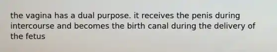 the vagina has a dual purpose. it receives the penis during intercourse and becomes the birth canal during the delivery of the fetus