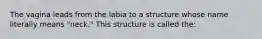 The vagina leads from the labia to a structure whose name literally means "neck." This structure is called the: