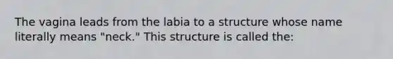 The vagina leads from the labia to a structure whose name literally means "neck." This structure is called the: