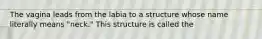 The vagina leads from the labia to a structure whose name literally means "neck." This structure is called the