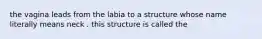 the vagina leads from the labia to a structure whose name literally means neck . this structure is called the