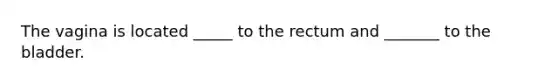 The vagina is located _____ to the rectum and _______ to the bladder.