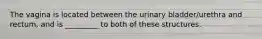 The vagina is located between the urinary bladder/urethra and rectum, and is _________ to both of these structures.