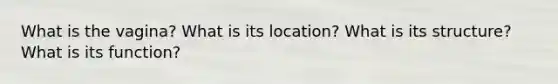 What is the vagina? What is its location? What is its structure? What is its function?