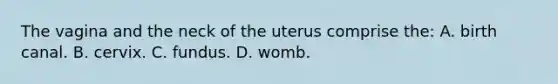 The vagina and the neck of the uterus comprise the: A. birth canal. B. cervix. C. fundus. D. womb.