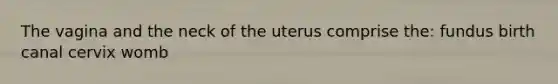 The vagina and the neck of the uterus comprise the: fundus birth canal cervix womb