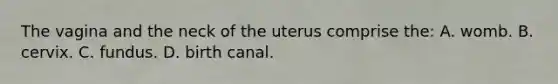 The vagina and the neck of the uterus comprise the: A. womb. B. cervix. C. fundus. D. birth canal.