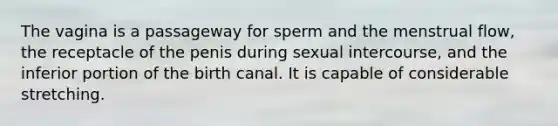 The vagina is a passageway for sperm and the menstrual flow, the receptacle of the penis during sexual intercourse, and the inferior portion of the birth canal. It is capable of considerable stretching.