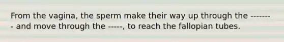 From the vagina, the sperm make their way up through the -------- and move through the -----, to reach the fallopian tubes.